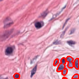 Dark Spots Artifact - L0 (Original)