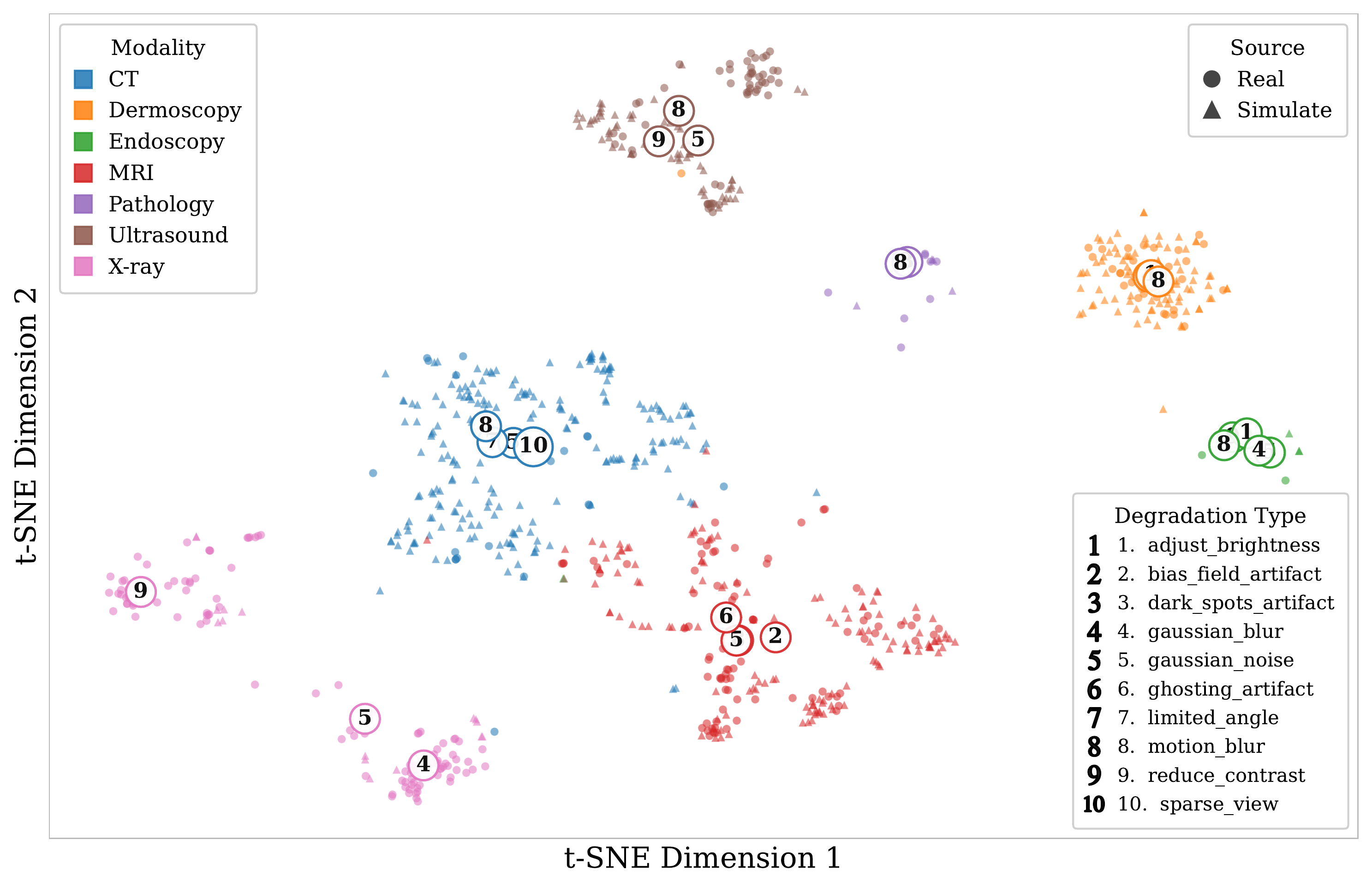 t-SNE Feature Distribution by Degradation Type