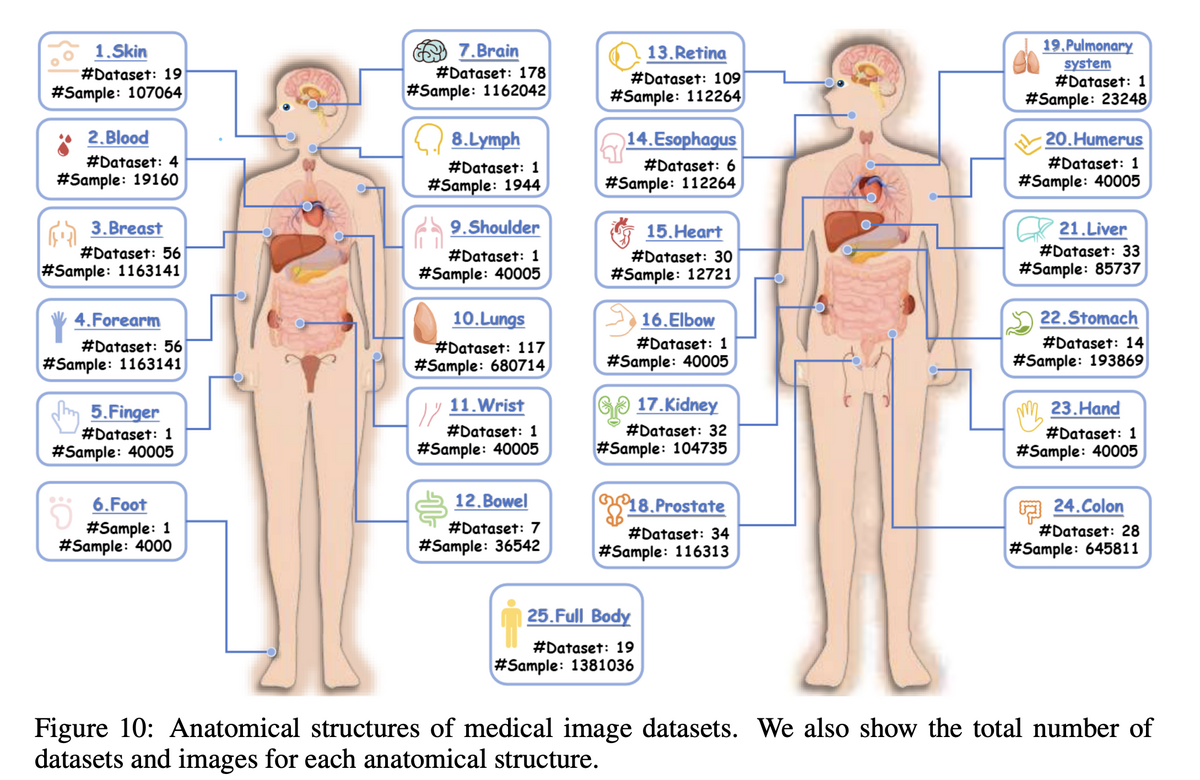 Dataset and sample counts by anatomical structure