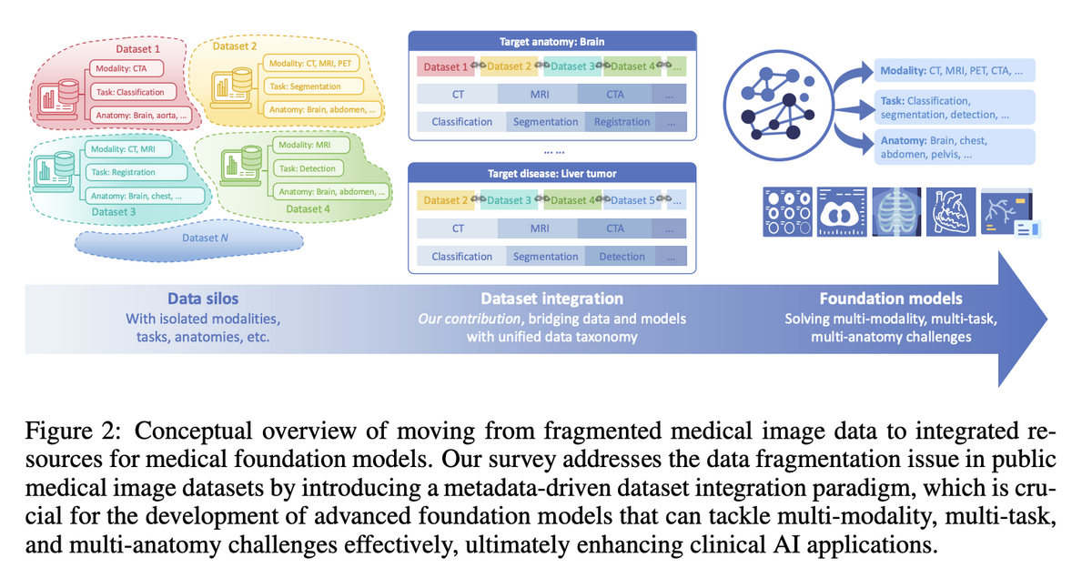 Project Imaging-X: from data silos to foundation models