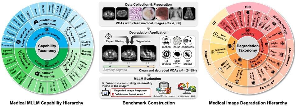 MedQ-Deg: Evaluating MLLMs Across Medical Image Quality Degradations