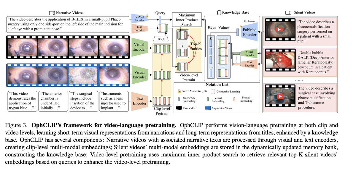 OphCLIP framework: clip-level and video-level pretraining with silent video knowledge base