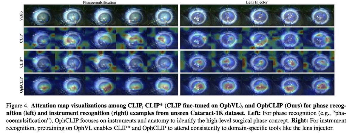 Attention map visualisations: CLIP vs CLIP* vs OphCLIP for phase and instrument recognition