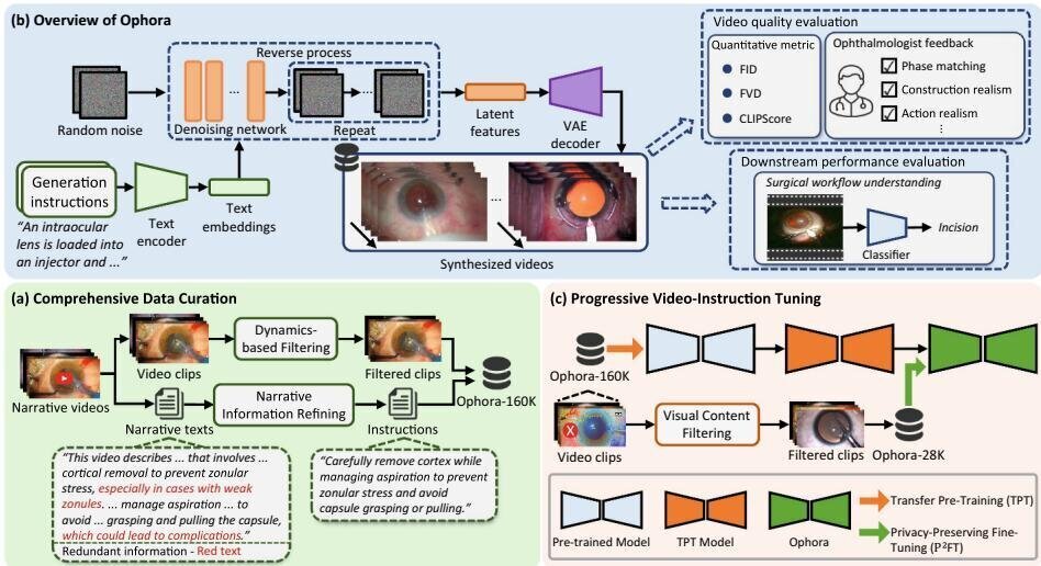 Ophora: Text-Guided Ophthalmic Surgical Video Generation