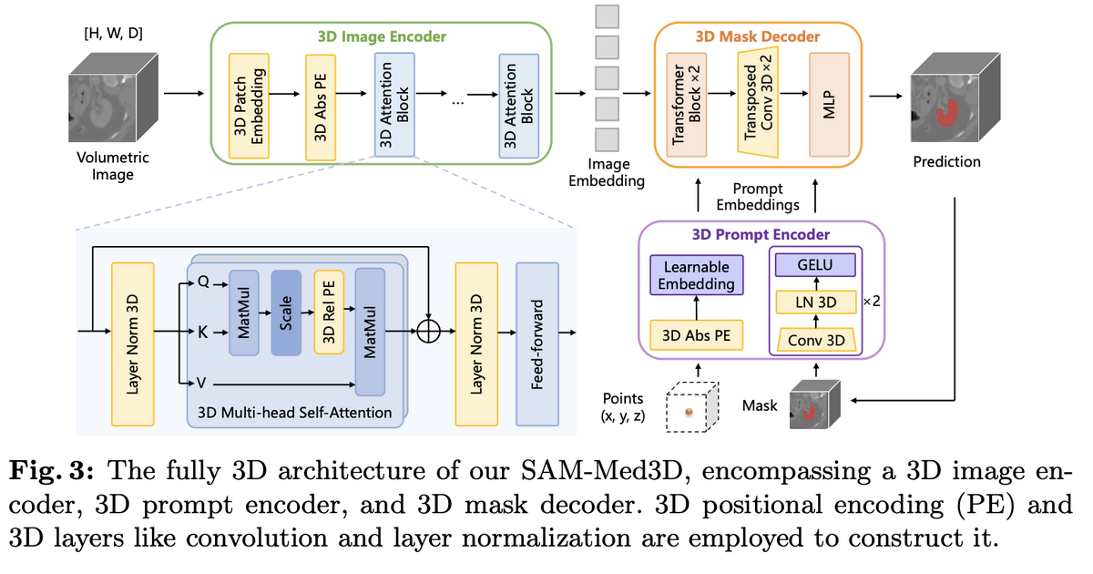 SAM-Med3D fully 3D architecture