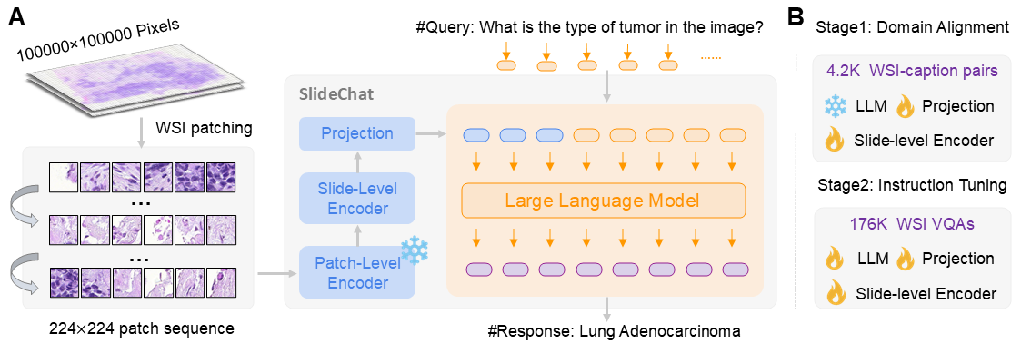 SlideChat architecture — WSI understanding pipeline