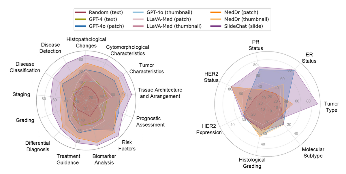 SlideBench performance radar charts: SlideChat vs GPT-4o, MedDr, LLaVA-Med, Quilt-LLaVA on TCGA and BCNB benchmarks