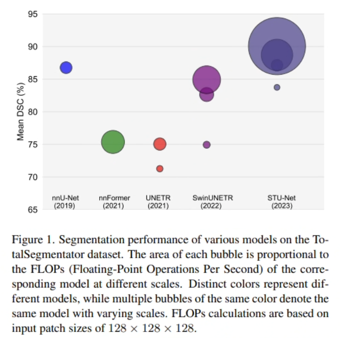 Segmentation performance vs FLOPs on TotalSegmentator