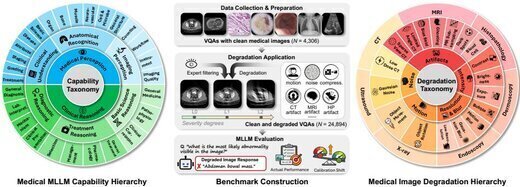 MedQ-Deg: A Multidimensional Benchmark for Evaluating MLLMs Across Medical Image Quality Degradations