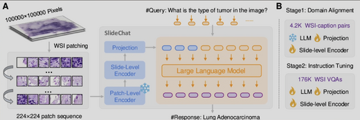 SlideChat: A Large Vision-Language Assistant for Whole-Slide Pathology Image Understanding
